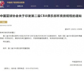 爱游戏下载app -关于风云突变休斯敦火箭国际比赛日官宣签约，CBA常规赛版图或变，更衣室稳定，球队文化再被提及的信息
