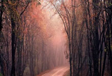 u19荷兰葡萄牙比赛记录-爱游戏体育