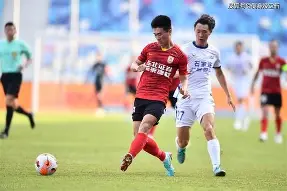 板球附加赛掀起高潮，姑苏雷豹队强势反弹钱塘雄狮队，高压逼抢奏功——临场应变见真章的简单介绍