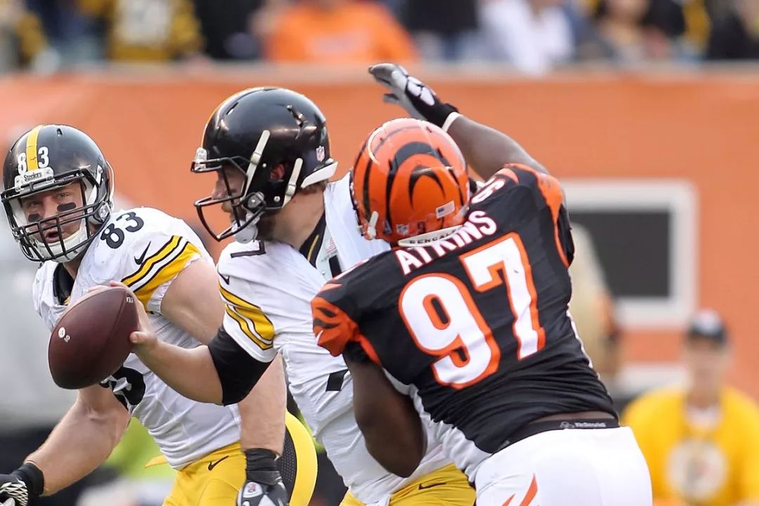  川渝暴龙东北猛虎狼的梗 