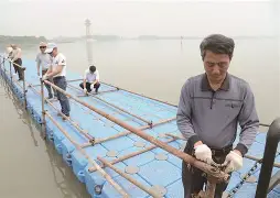 赛地聚焦:国王杯赛前热度飙升,摩纳哥临场应变,媒体盛赞,临场指挥获称赞 赛地聚焦:国王杯赛前热度飙升,摩纳哥临场应变,媒体盛赞,临场指挥获称赞